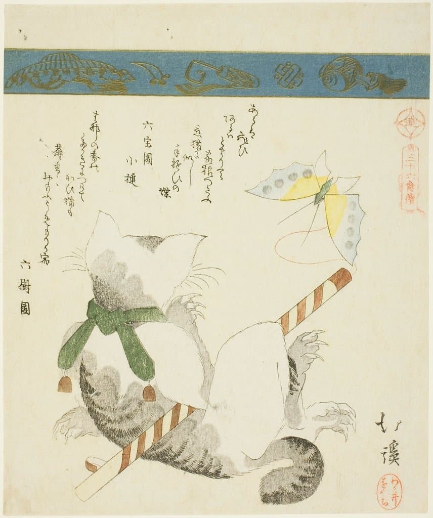 宠物养护 - Cat Playing Toy Butterfly, series
